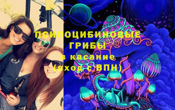мяу мяу мука Арсеньев