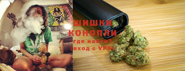 PSILOCYBIN Алзамай